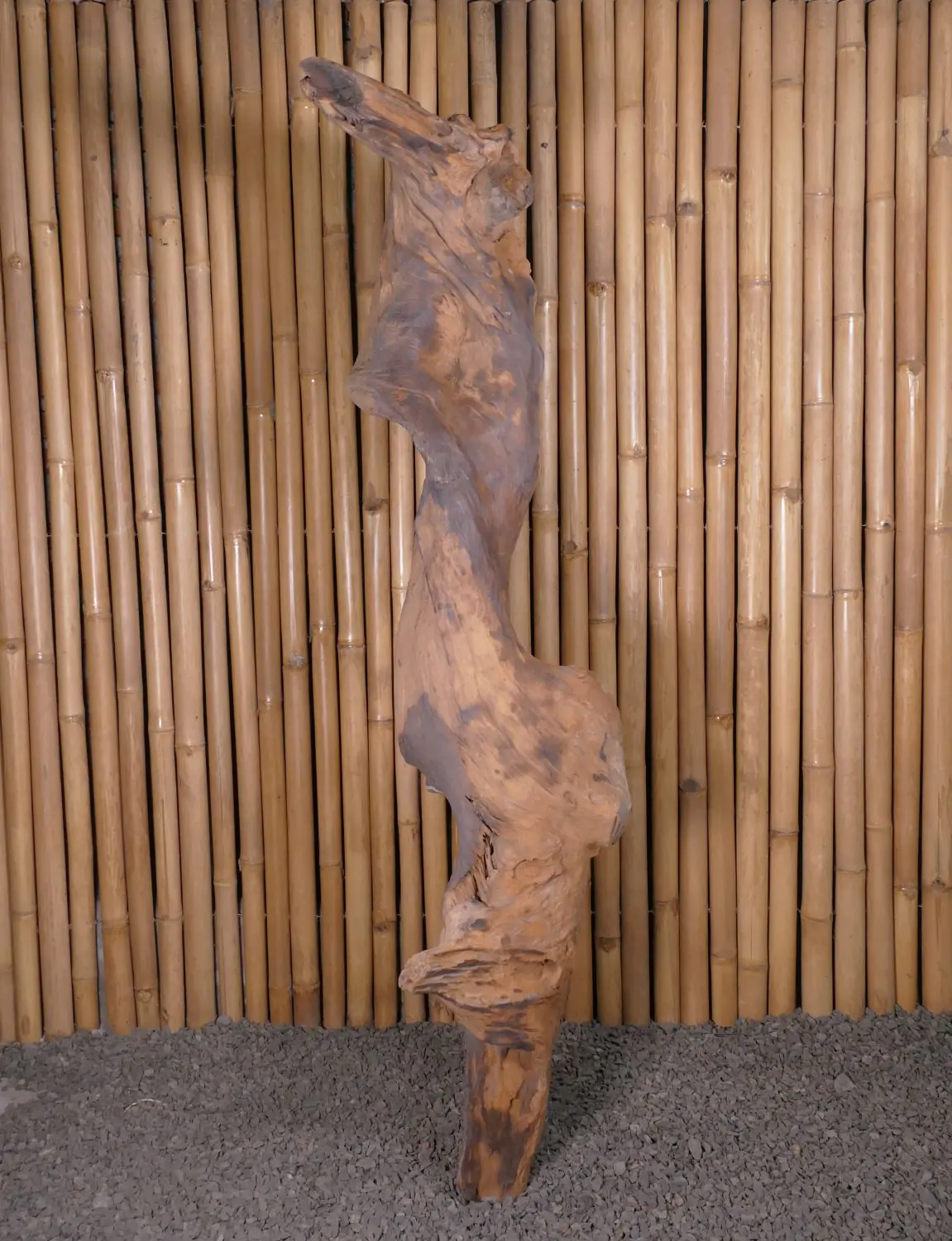  Product image 2 of the product “Root made of teak wood about 165cm height ”